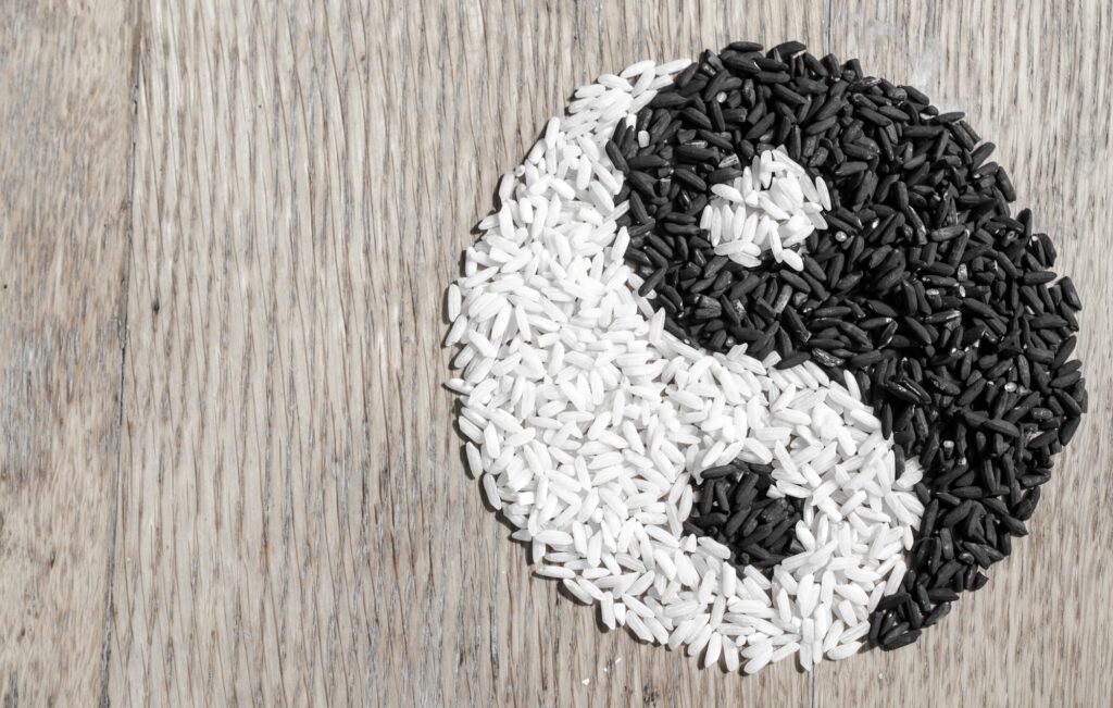 Rice yin yang